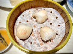 -绿波廊(豫园店)