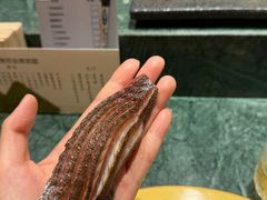 -鮨冠OMAKASE食べ放题(北京首店)