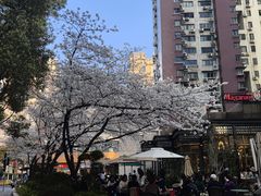 -玛格萝妮比萨屋(四平店)