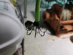 -深圳海钓·深圳钓鱼·拓展聚会鱼排