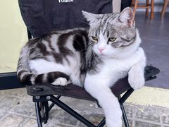 -刘卜卤鹅(全国首店)