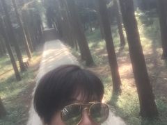 -同里国家湿地公园