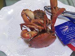 -鑫悦楼煎蟹·16年海鲜大排档