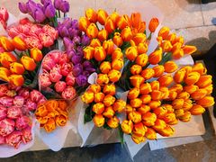 -循礼门鲜花花市(武汉循礼门店)