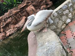 -吉隆坡雀鸟公园