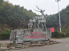 -长沙黑麋峰国家森林公园