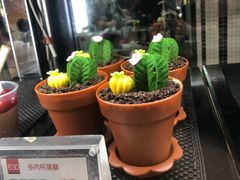 -85度C(株洲新华西店)