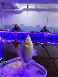 -巡鱼道·室内垂钓·渔具店