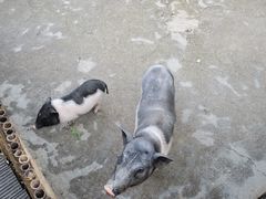 -太极禅苑