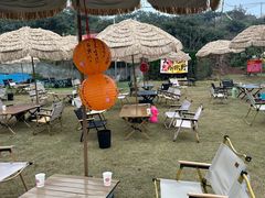 -桃源山庄·水蜜桃采摘·柴火鸡·烧烤团建(龙泉山店)