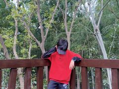 -上海佘山国家森林公园天马山园