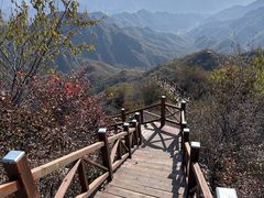 -大岭沟猕猴桃谷风景区