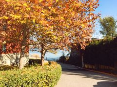 -北京天湖会议中心