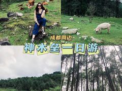 -硗碛藏寨·神木垒景区