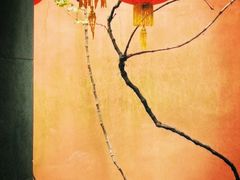 -孔氏南宗家庙