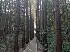 -同里国家湿地公园