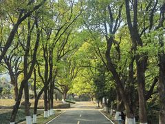 -福清灵石山国家森林公园