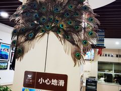 -官人桥番茄米线(温江行署店)