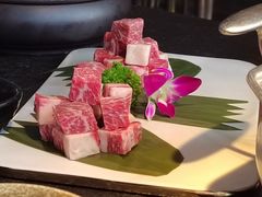 -新草堂锅物料理(泉城路店)