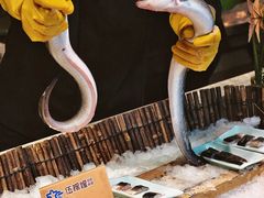 -伍棵星炭烤自助料理·烤鳗鱼(浦东食品城店)