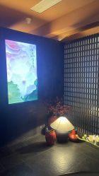 -励美科技美容SPA