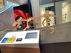 -墨尔本博物馆(Melbourne Museum)