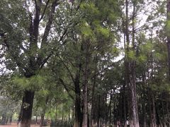 -杭州电子科技大学(下沙校区)