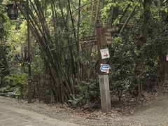 -滴水岩森林公园