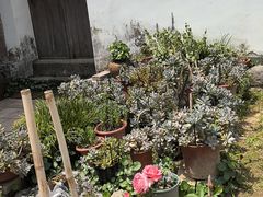 -天然居农家乐(温泉南路店)