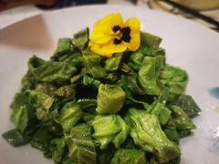 凉拌荷叶尖-新开元大酒店(定慧寺店)