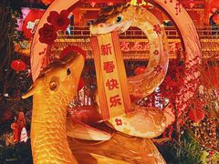 -越秀西湖花市(广州城市广场花卉店)