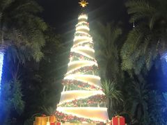 -广州富力丽思卡尔顿酒店