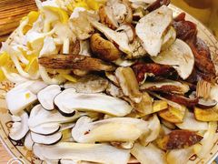 -菌之家·专业纯野生菌火锅·特色炒菌