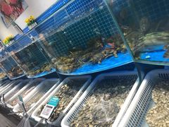 水产区-七鲜超市(通州ONE店)