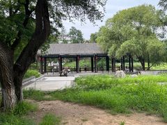 -万泉公园