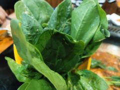 -三里屯土灶炖公鸡地锅鸡(江东店)