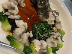 -樱苑(四川北路店)