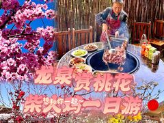 -桃源山庄·水蜜桃采摘·柴火鸡·烧烤团建(龙泉山店)