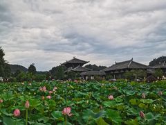 -紫鹊界梯田景区