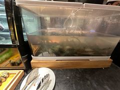 -西安皇冠假日酒店·朱雀咖啡厅
