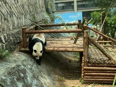 -泉州海丝野生动物世界