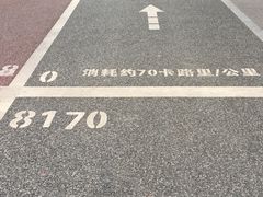 -南宁南湖公园