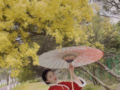 -厦门国家会计学院