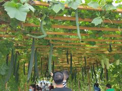 -中国天府农业博览园