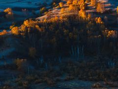 -海洋之星休闲汗蒸浴场