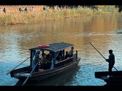 -溱湖国家湿地公园