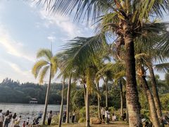 -深圳仙湖植物园