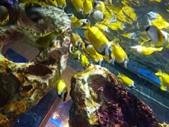 -苏州海洋馆