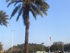 -竹园竹升面(西关总店)