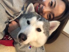 -Husky Go! 哈士奇体验馆·宠物咖啡厅狗咖